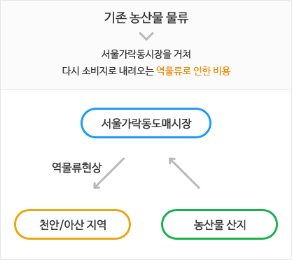 기존 농산물 물류 - 서울가락동시장을 거쳐 다시 소비자로 내려오는 역물류로 인한 비용